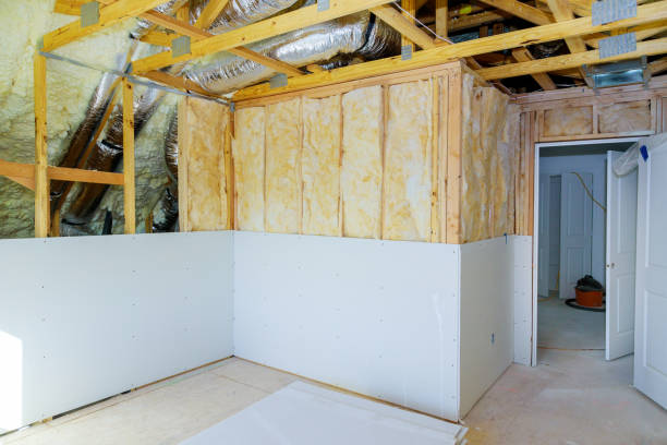 Best Local Insulation Services  in Bellevue, OH