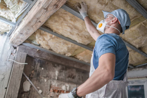 Best Attic Insulation Installation  in Bellevue, OH