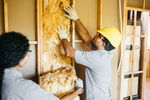 Best Insulation Contractor Near Me  in Bellevue, OH