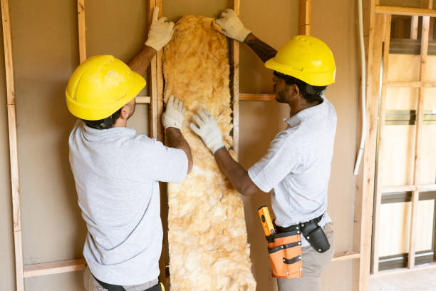 Best Attic Insulation Installation  in Bellevue, OH