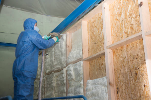 Best Home Insulation Services  in Bellevue, OH