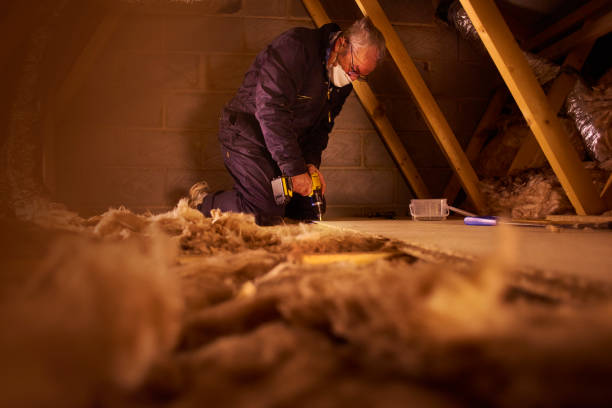 Best Blown-in Insulation  in Bellevue, OH